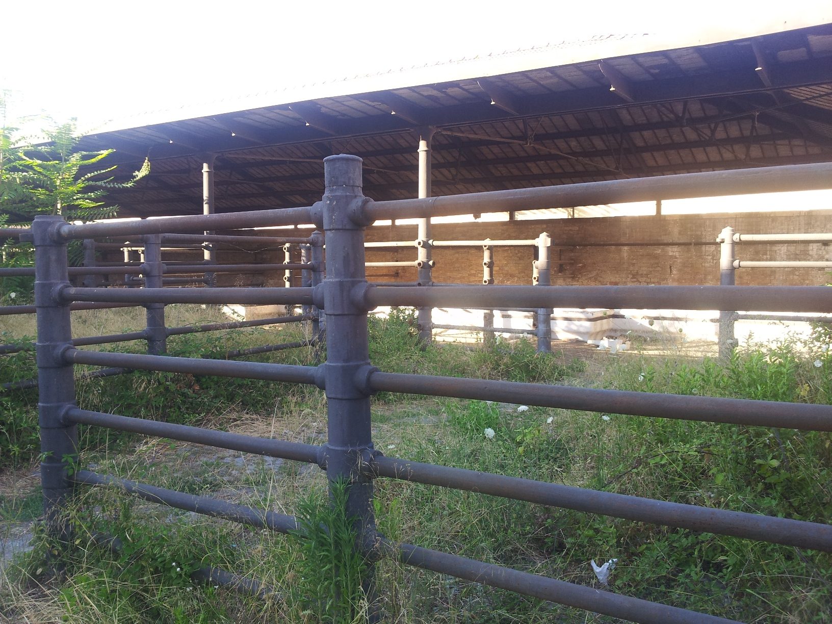 Old Rome S Slaughterhouse